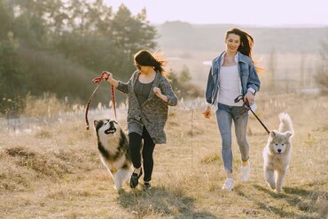 A photo of two women walking two dogs